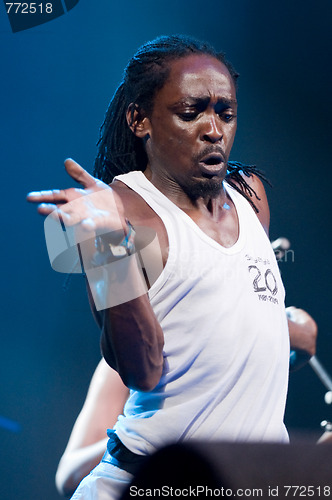 Image of Womad