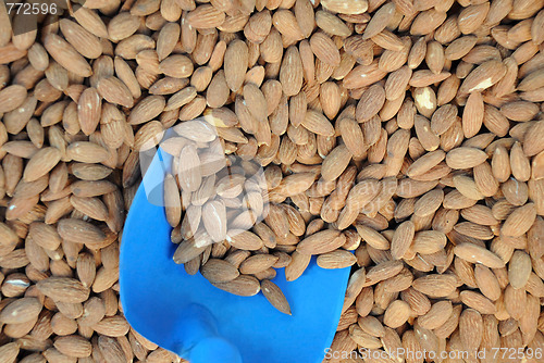 Image of Almonds And Scoop On The Market