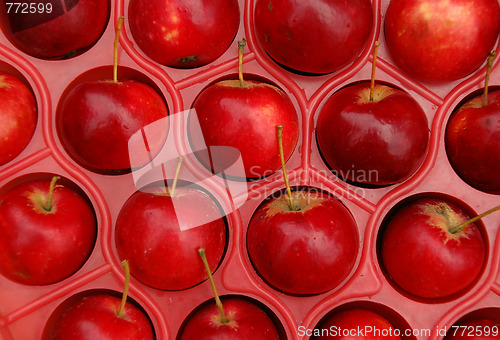 Image of Apples In The Crate