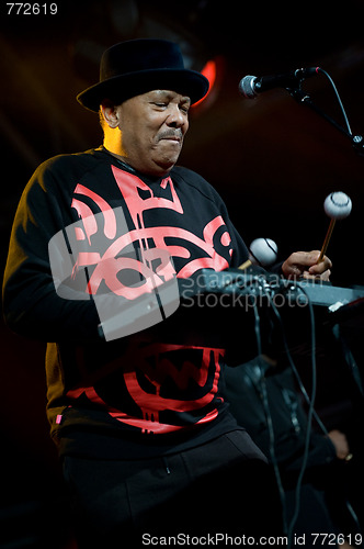 Image of Womad