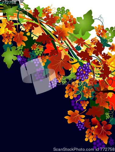 Image of autumn background