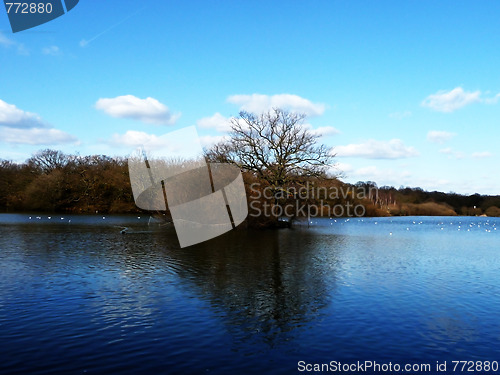 Image of Hainault Forest Water