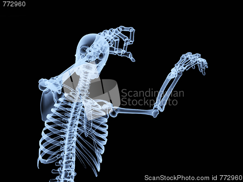 Image of Xray Skeleton