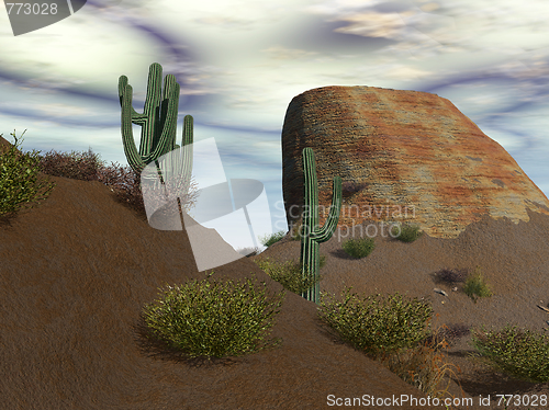 Image of Desert Landscape