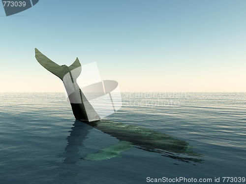 Image of Whale Tail