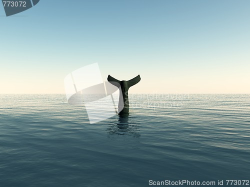 Image of Whale Tail