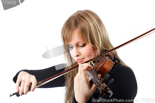 Image of Violinist