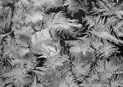 Image of Winter tale, B/W