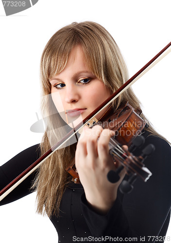 Image of Violinist