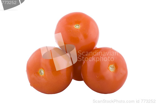 Image of Ripe tomatos