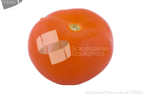 Image of One ripe fresh tomato