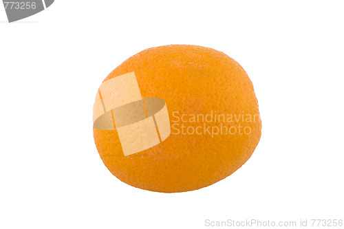 Image of One isolated orange