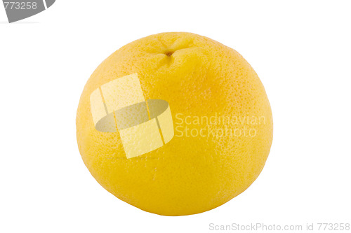 Image of one grapefruit