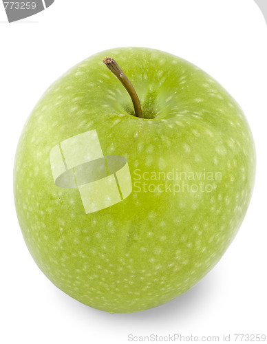 Image of One tasty apple