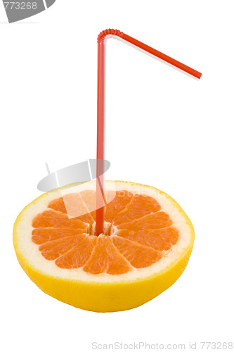 Image of Citrus cocktail