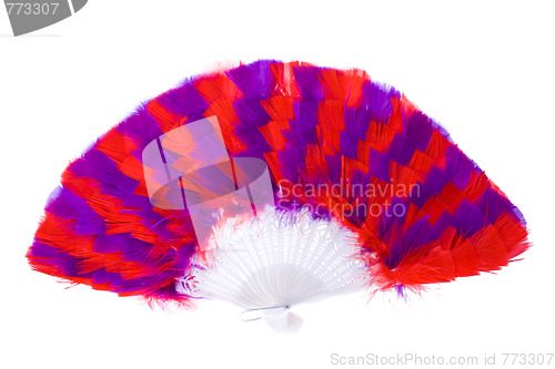 Image of one feather fan