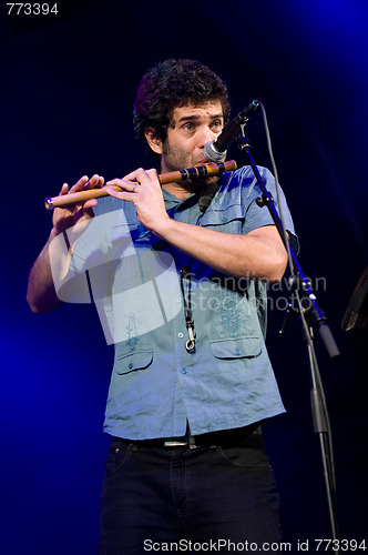 Image of Womad