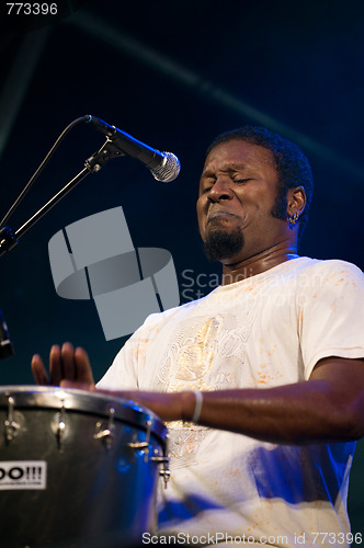 Image of Womad
