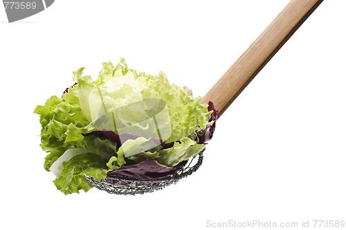Image of Salad