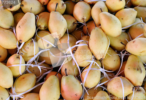 Image of Pears In Transportation Container