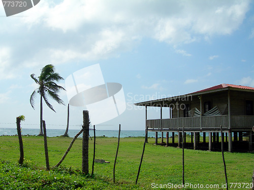 Image of waterfront house with palm coconut tree corn island nicaragua