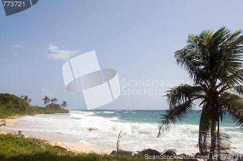 Image of content point beach caribbean sea corn island nicaragua