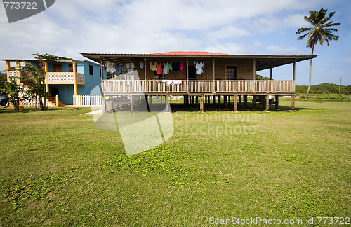 Image of island home with coconut tree corn island nicaragua