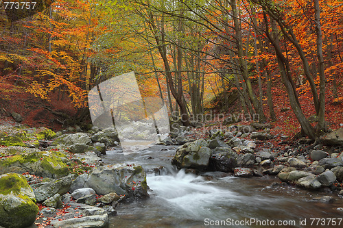 Image of Autumn river