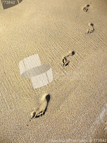 Image of Sand Footprints