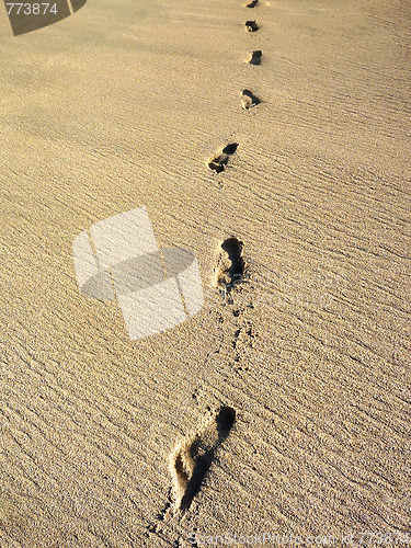 Image of Sand Footprints