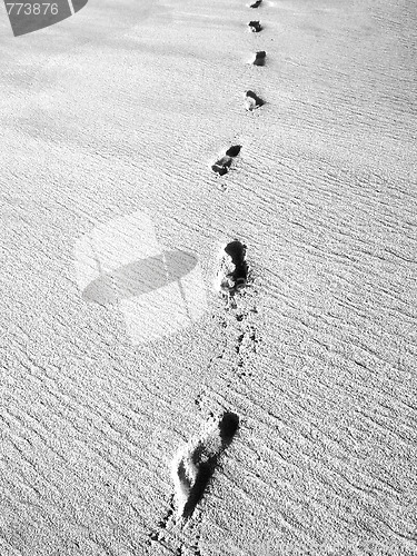 Image of Sand Footprints