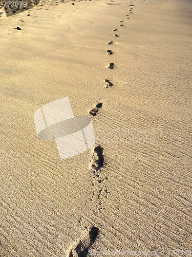 Image of Sand Footprints