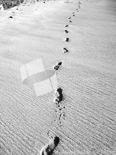 Image of Sand Footprints