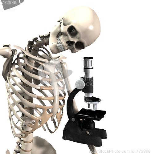 Image of Skeleton Doing Research