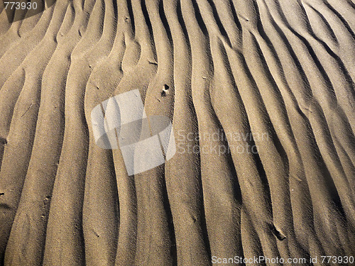 Image of Maspalomas Dunes 