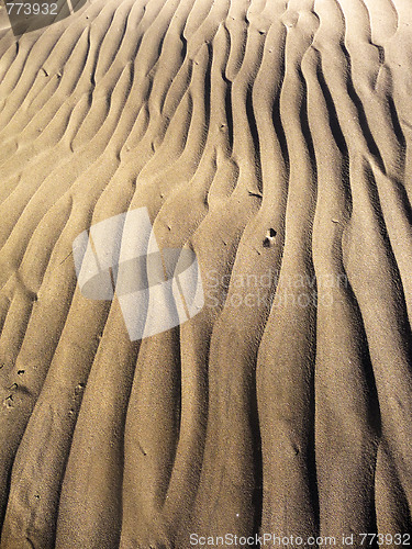 Image of Maspalomas Dunes 