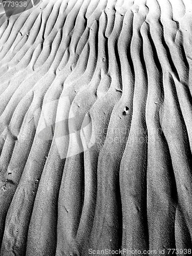 Image of Maspalomas Dunes 