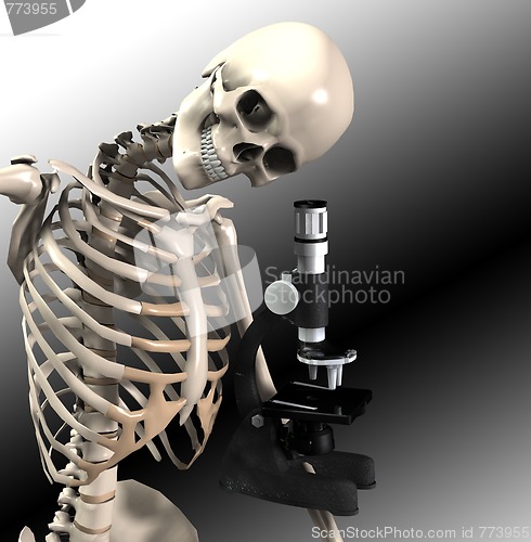 Image of Skeleton Doing Research