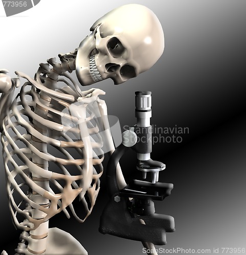 Image of Skeleton Doing Research