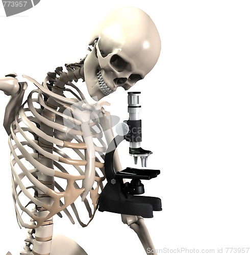 Image of Skeleton Doing Research