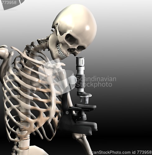 Image of Skeleton Doing Research