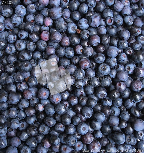 Image of blueberries