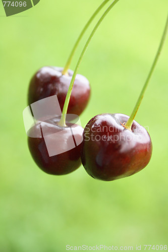 Image of red cherries