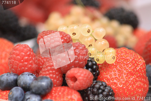 Image of forest fruit