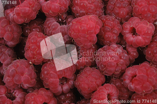 Image of raspberry