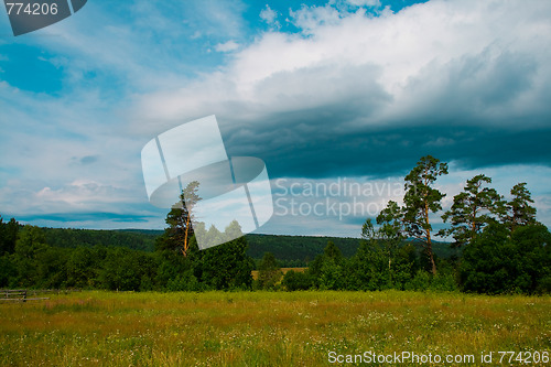 Image of meadow and clouds