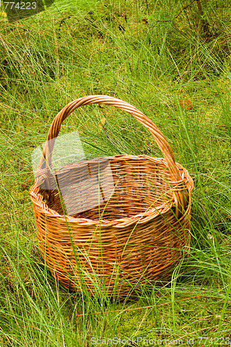 Image of woven basket in the grass