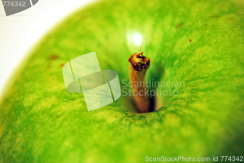 Image of Apple Close Up On Top