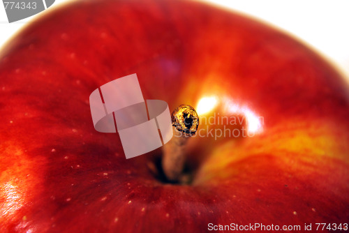 Image of Apple Close Up On Top