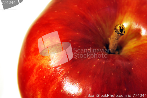 Image of Apple Close Up On Top